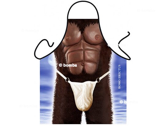 Zástěra Homo erectus